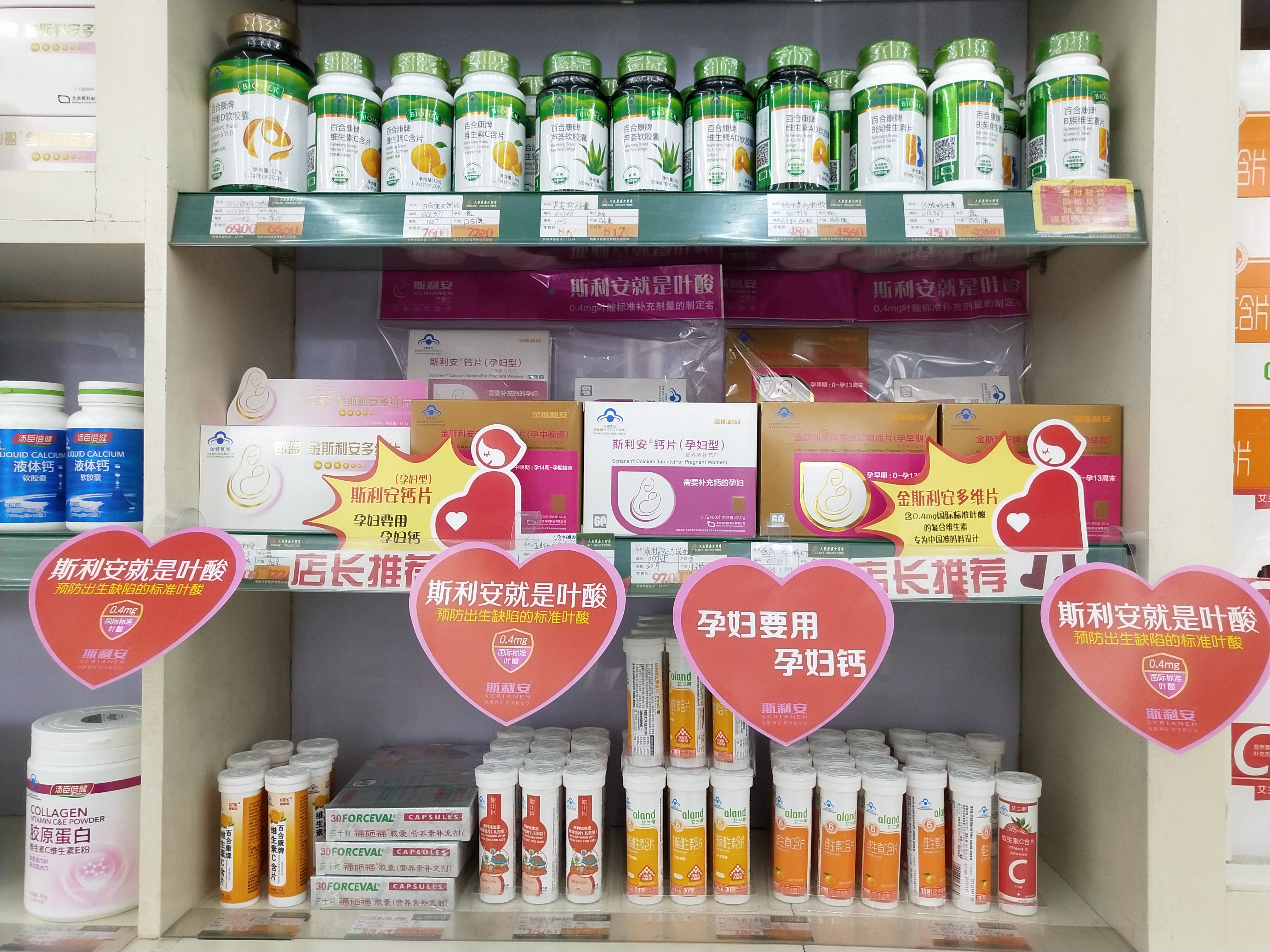 08438 袁菲